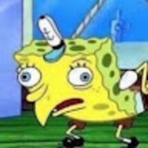 Meet your Posher, Lily